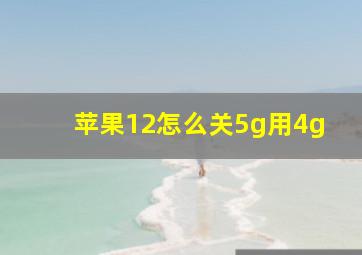 苹果12怎么关5g用4g