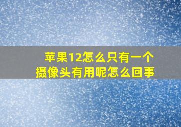 苹果12怎么只有一个摄像头有用呢怎么回事