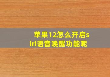 苹果12怎么开启siri语音唤醒功能呢