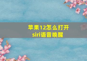 苹果12怎么打开siri语音唤醒