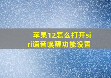 苹果12怎么打开siri语音唤醒功能设置