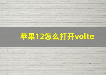 苹果12怎么打开volte