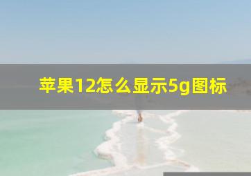 苹果12怎么显示5g图标