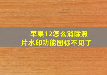 苹果12怎么消除照片水印功能图标不见了