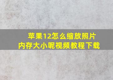 苹果12怎么缩放照片内存大小呢视频教程下载