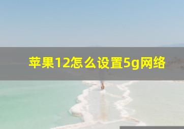 苹果12怎么设置5g网络