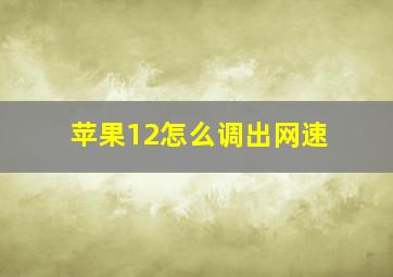 苹果12怎么调出网速