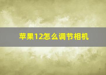 苹果12怎么调节相机