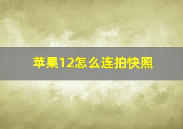 苹果12怎么连拍快照