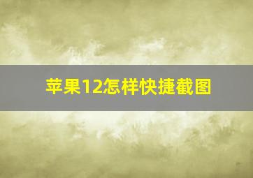 苹果12怎样快捷截图