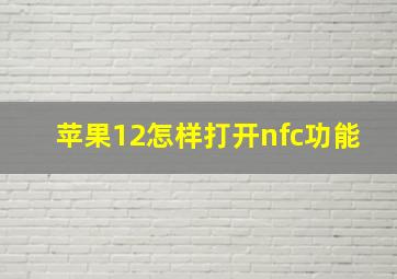 苹果12怎样打开nfc功能