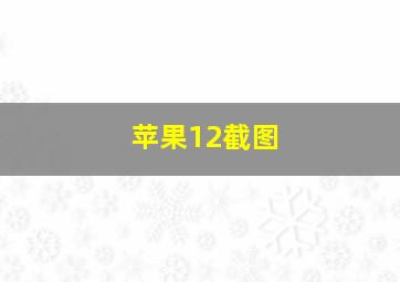 苹果12截图