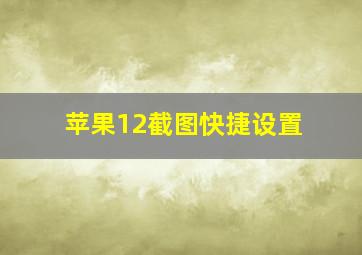 苹果12截图快捷设置