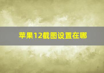 苹果12截图设置在哪