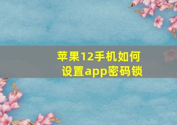 苹果12手机如何设置app密码锁