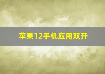 苹果12手机应用双开