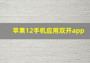 苹果12手机应用双开app