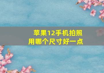 苹果12手机拍照用哪个尺寸好一点