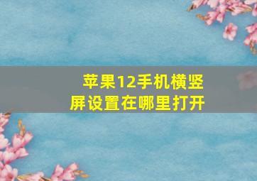 苹果12手机横竖屏设置在哪里打开