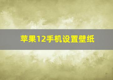 苹果12手机设置壁纸