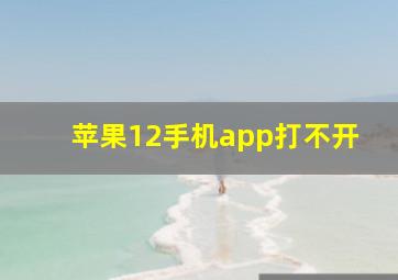 苹果12手机app打不开