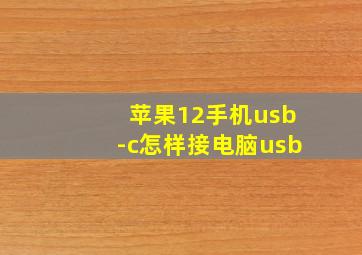 苹果12手机usb-c怎样接电脑usb