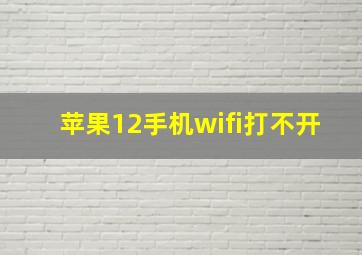 苹果12手机wifi打不开