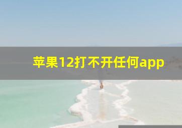 苹果12打不开任何app