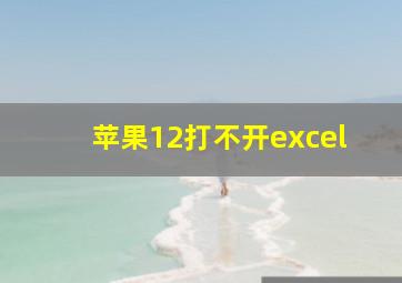 苹果12打不开excel