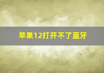 苹果12打开不了蓝牙