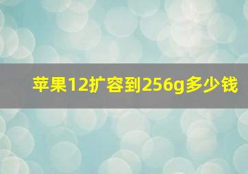 苹果12扩容到256g多少钱