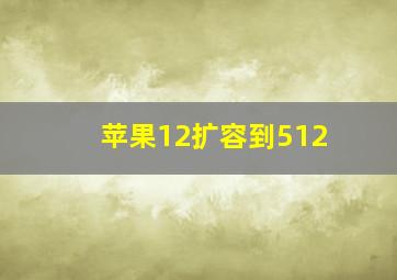 苹果12扩容到512