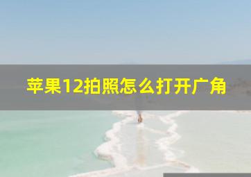 苹果12拍照怎么打开广角