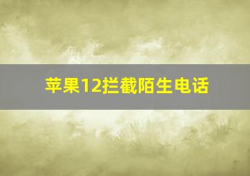 苹果12拦截陌生电话