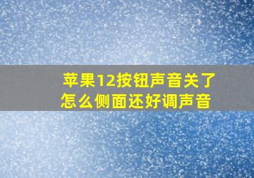 苹果12按钮声音关了 怎么侧面还好调声音