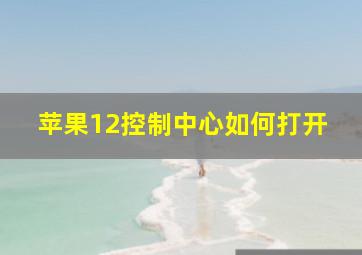 苹果12控制中心如何打开