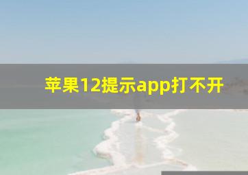 苹果12提示app打不开