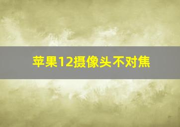 苹果12摄像头不对焦