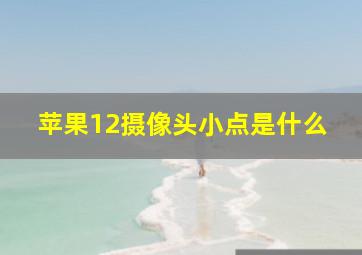 苹果12摄像头小点是什么