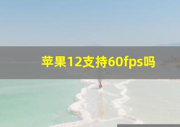 苹果12支持60fps吗