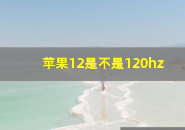 苹果12是不是120hz