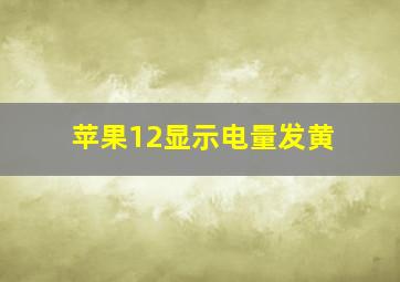 苹果12显示电量发黄