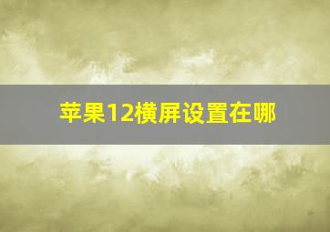 苹果12横屏设置在哪