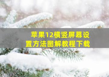 苹果12横竖屏幕设置方法图解教程下载