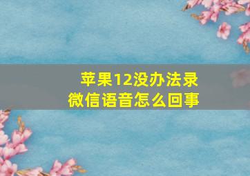 苹果12没办法录微信语音怎么回事