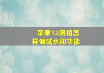 苹果12照相怎样调试水印功能