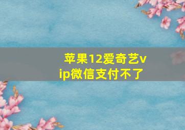 苹果12爱奇艺vip微信支付不了