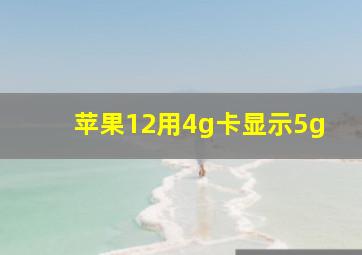 苹果12用4g卡显示5g