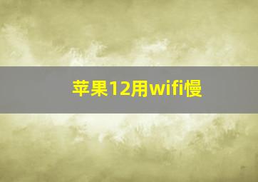 苹果12用wifi慢