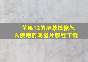 苹果12的屏幕镜像怎么使用的呢图片教程下载